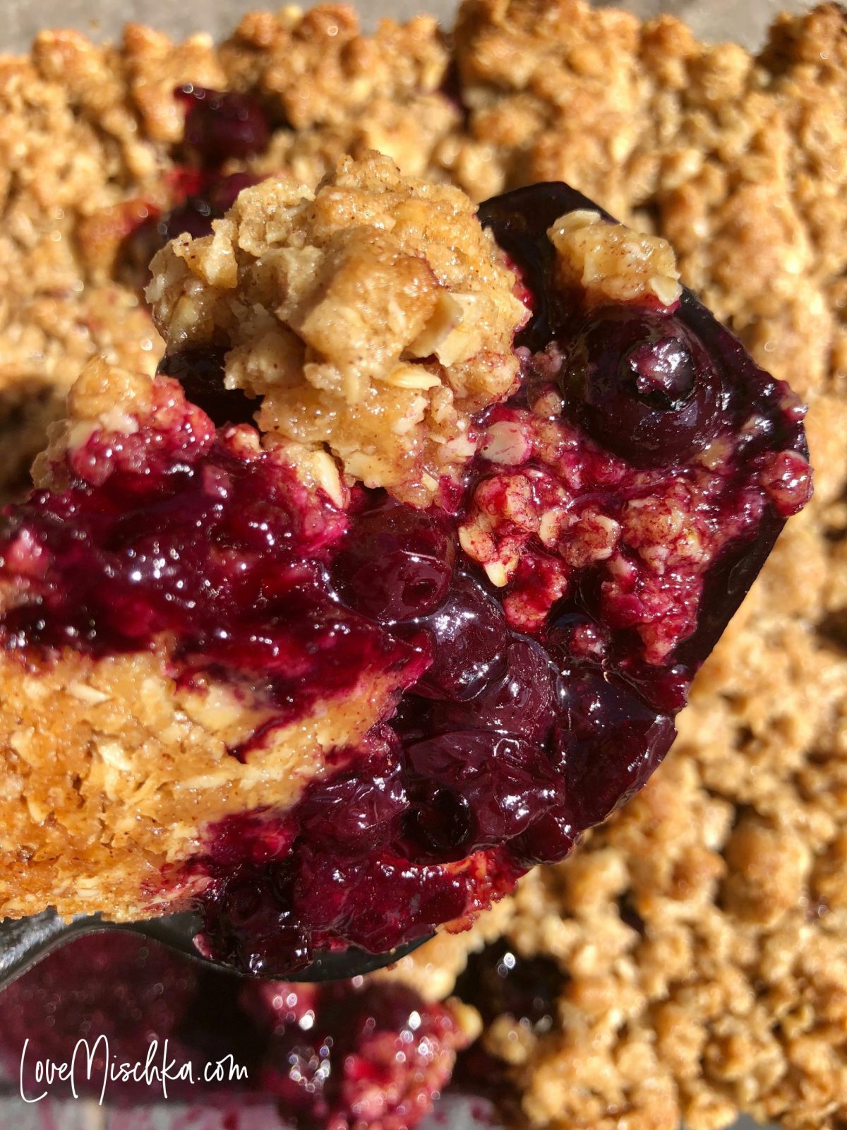 Easy, Quick, and Delicious Blueberry Crisp