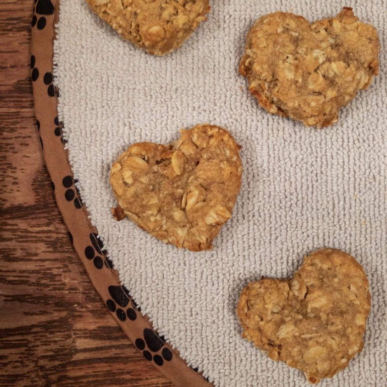 Easy, Healthy Peanut Butter Banana Dog Treats (Only 3 Ingredients