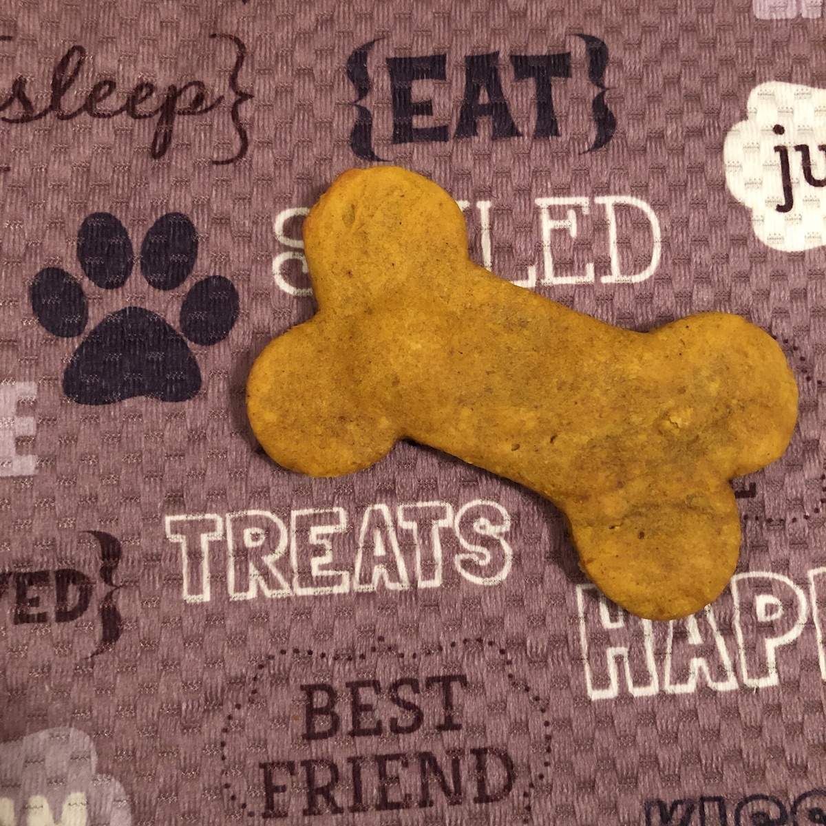 Easy Pumpkin Peanut Butter Dog Treats - Love Mischka