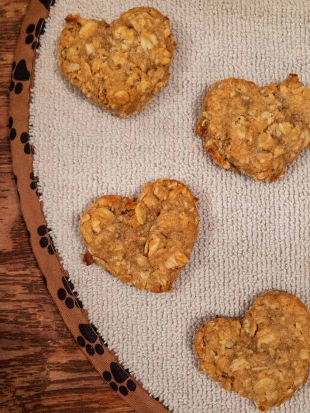 Peanut Butter Banana Dog Treats (Only 3 Ingredients!)