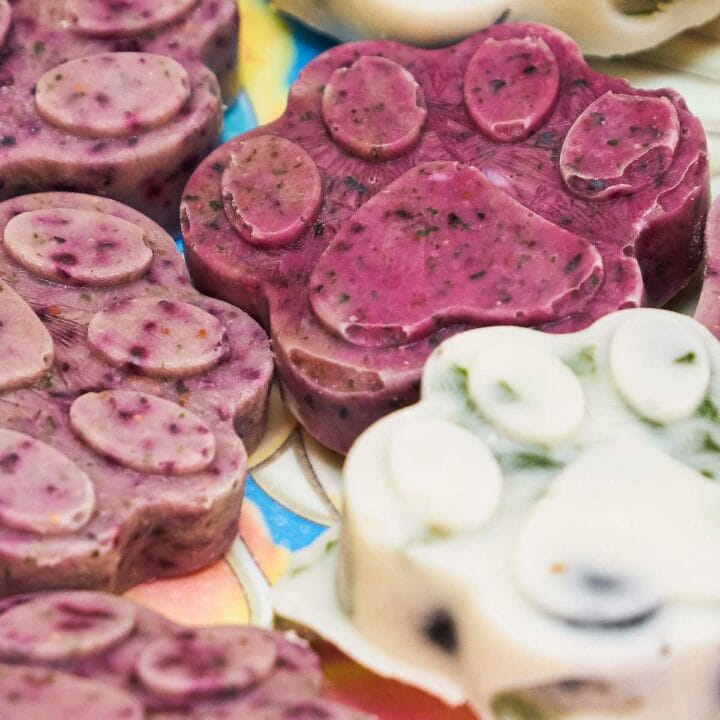 Easy Blueberry Mint Pupsicles {Frozen Dog Treats} Love Mischka