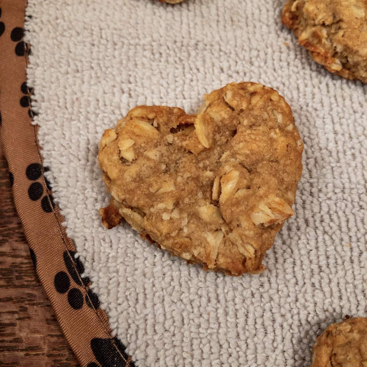 One heart-shaped, golden brown, baked homemade dog treat.