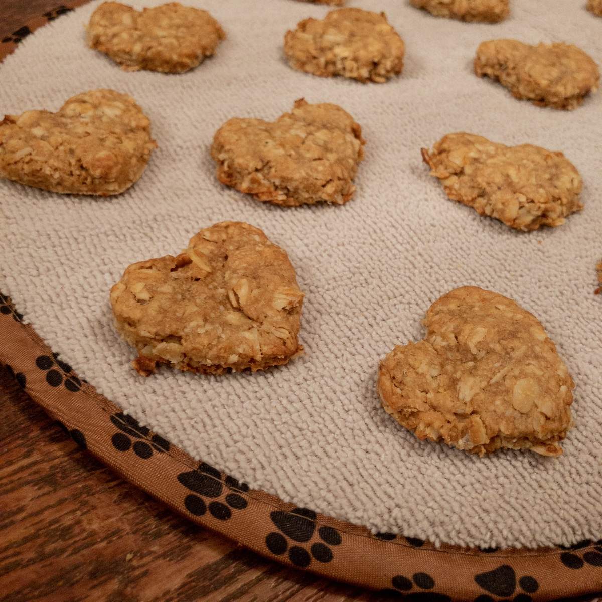 peanut butter oatmeal banana dog treats