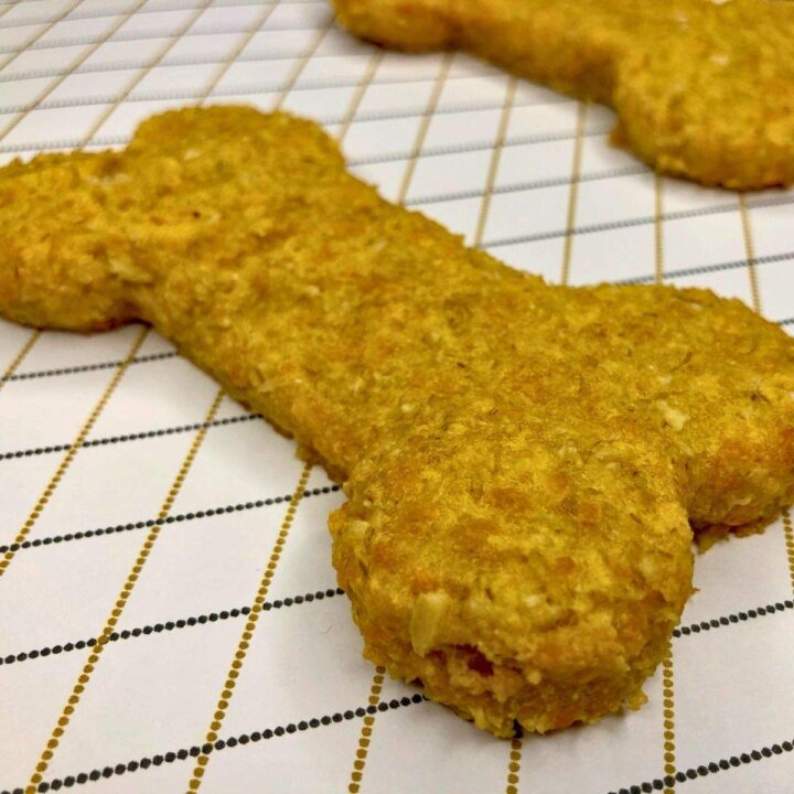 A close-up of one golden cheese dog treat in this cheese dog biscuit recipe.