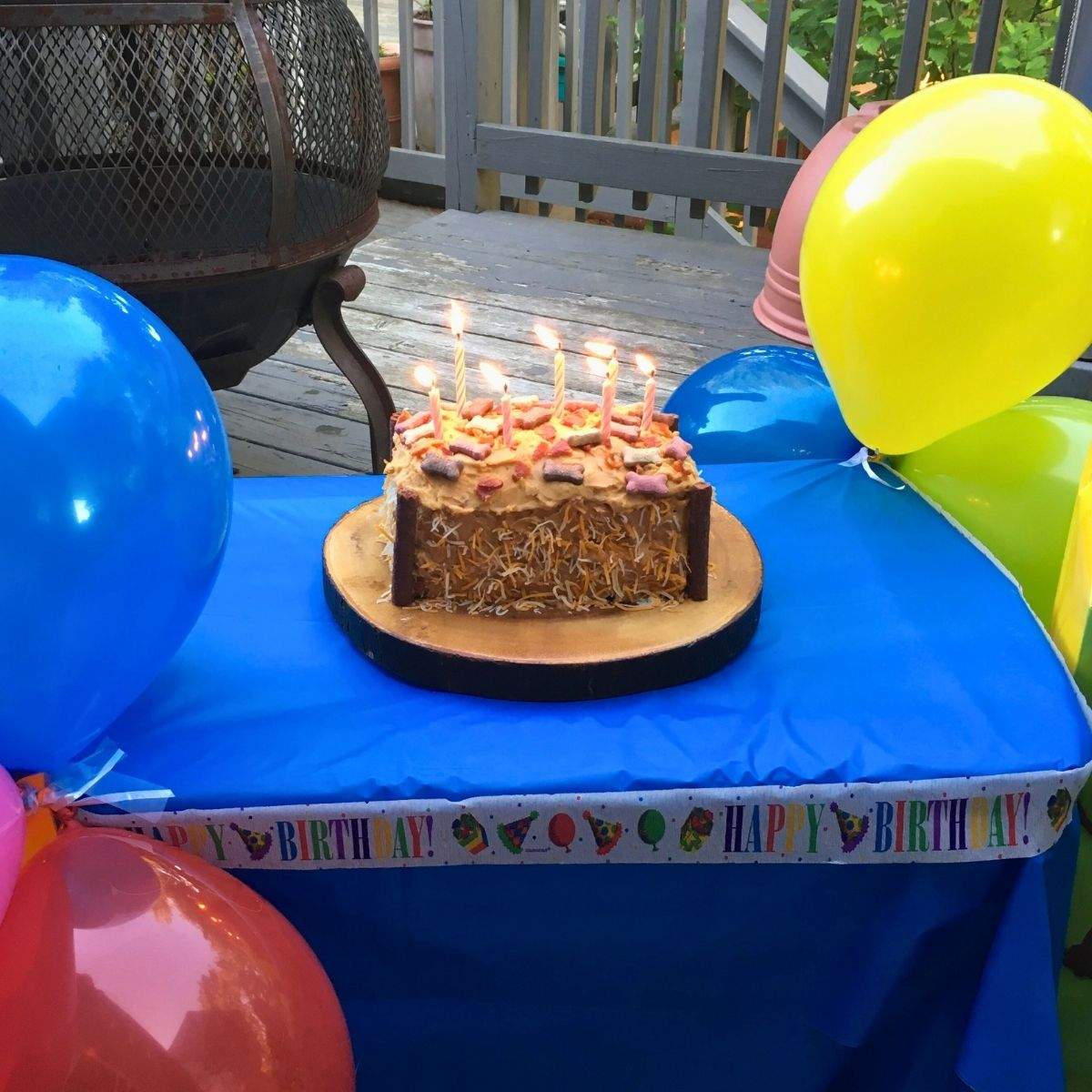 A rectangular dog cake with shredded cheese, dog treats, and mini milkbones, sits on a decorated blue birthday table, surrounded by yellow, green, blue, and red ballons.