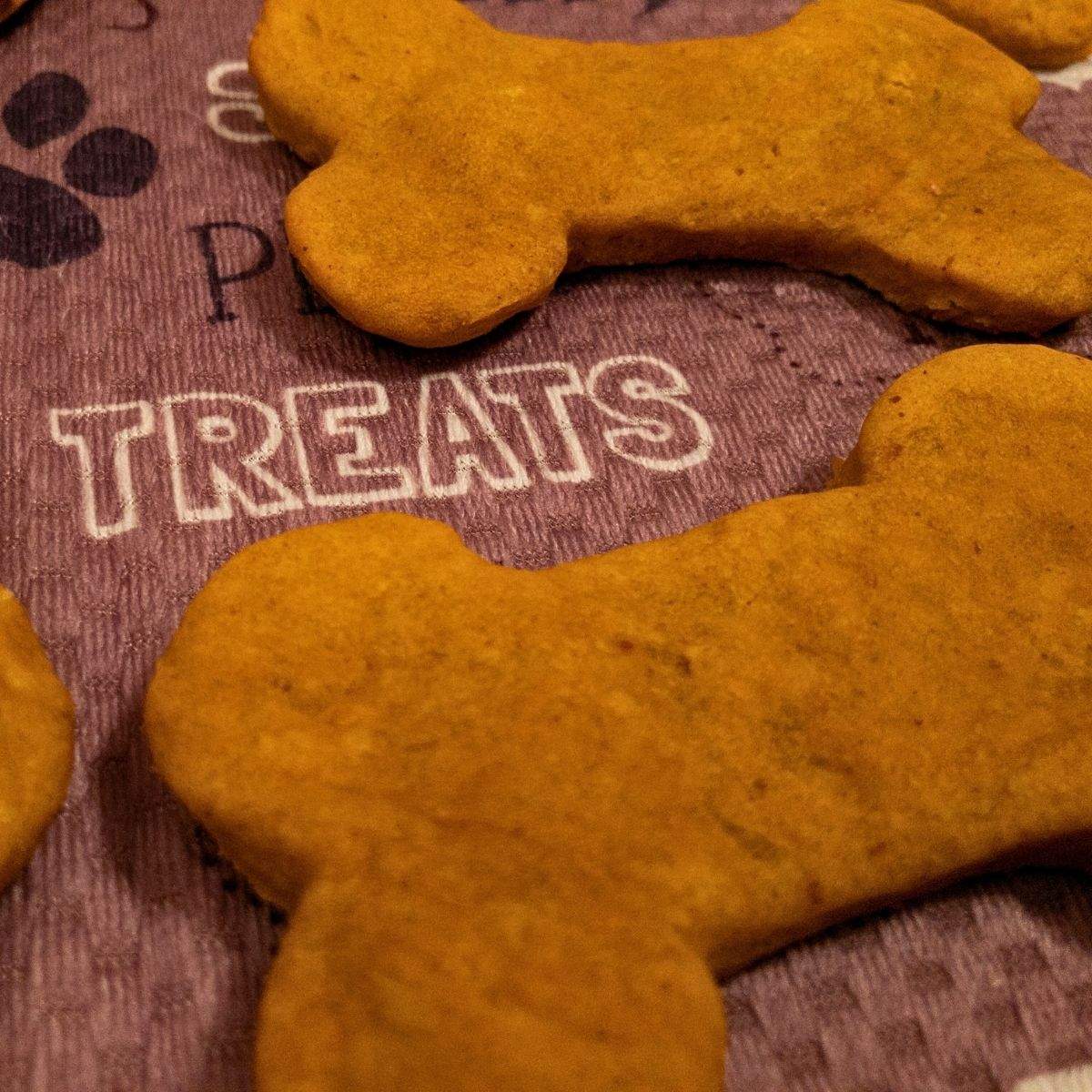 A close-up of two orange-brown, baked, bone-shaped homemade dog treats with pumpkin and peanut butter.
