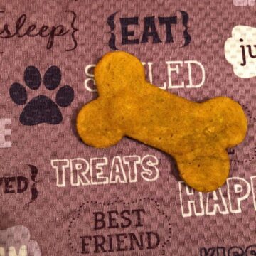 A dog bone-shaped homemade dog treat sits on a mat that says "treats" and "best friend”.