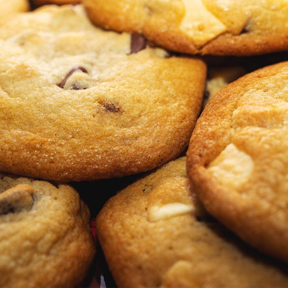 A closeup of golden Peppermint Bark cookies with crisp edges and soft middles. Chunks of white Ghirardelli peppermint bark and rich chocolate chips poke out from the delicious cookie.