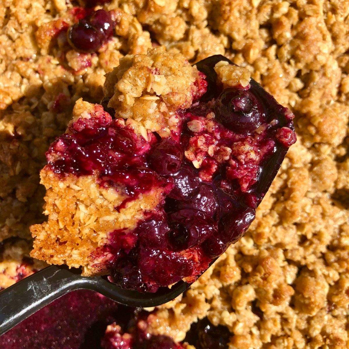 Juicy, BRIGHT purple blueberries and their juices mix with golden brown oat crisp in this Easy Blueberry Crisp Recipe.