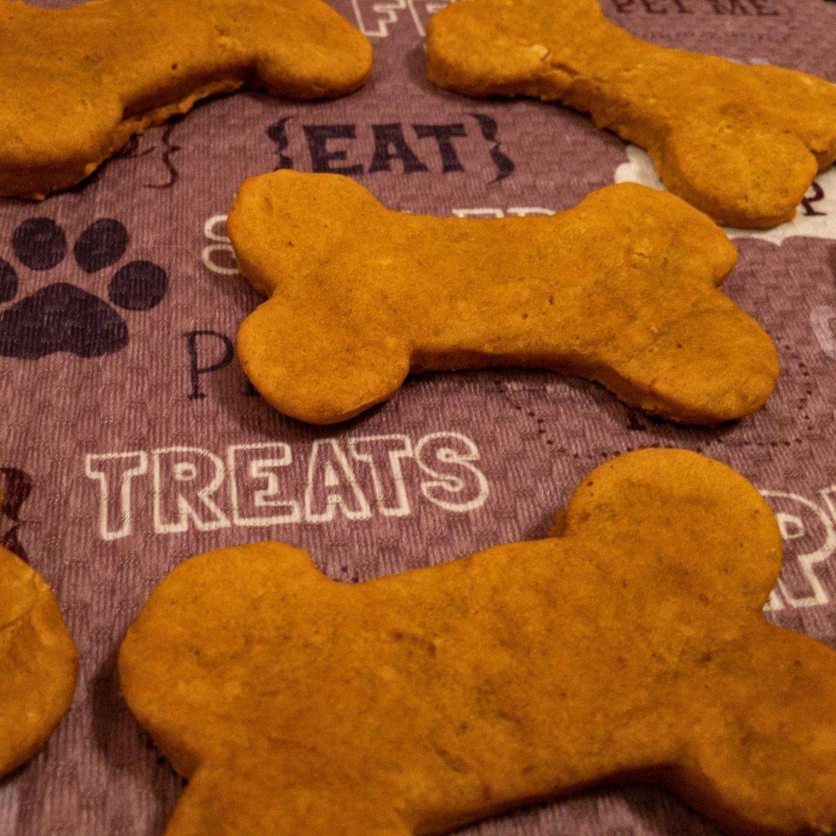 Several bone-shaped, orange-brown, baked peanut butter and pumpkin dog treats on a pinkish purple dog mat that says, "treats" and "eat".